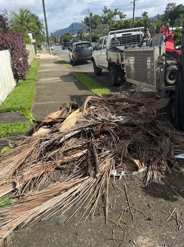 Cut palm fronds stacked at the kerb beside a work tipper and loader