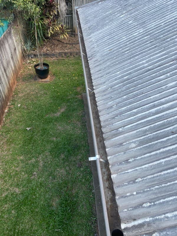 Leaf litter built up along a gutter run, seen from roof level