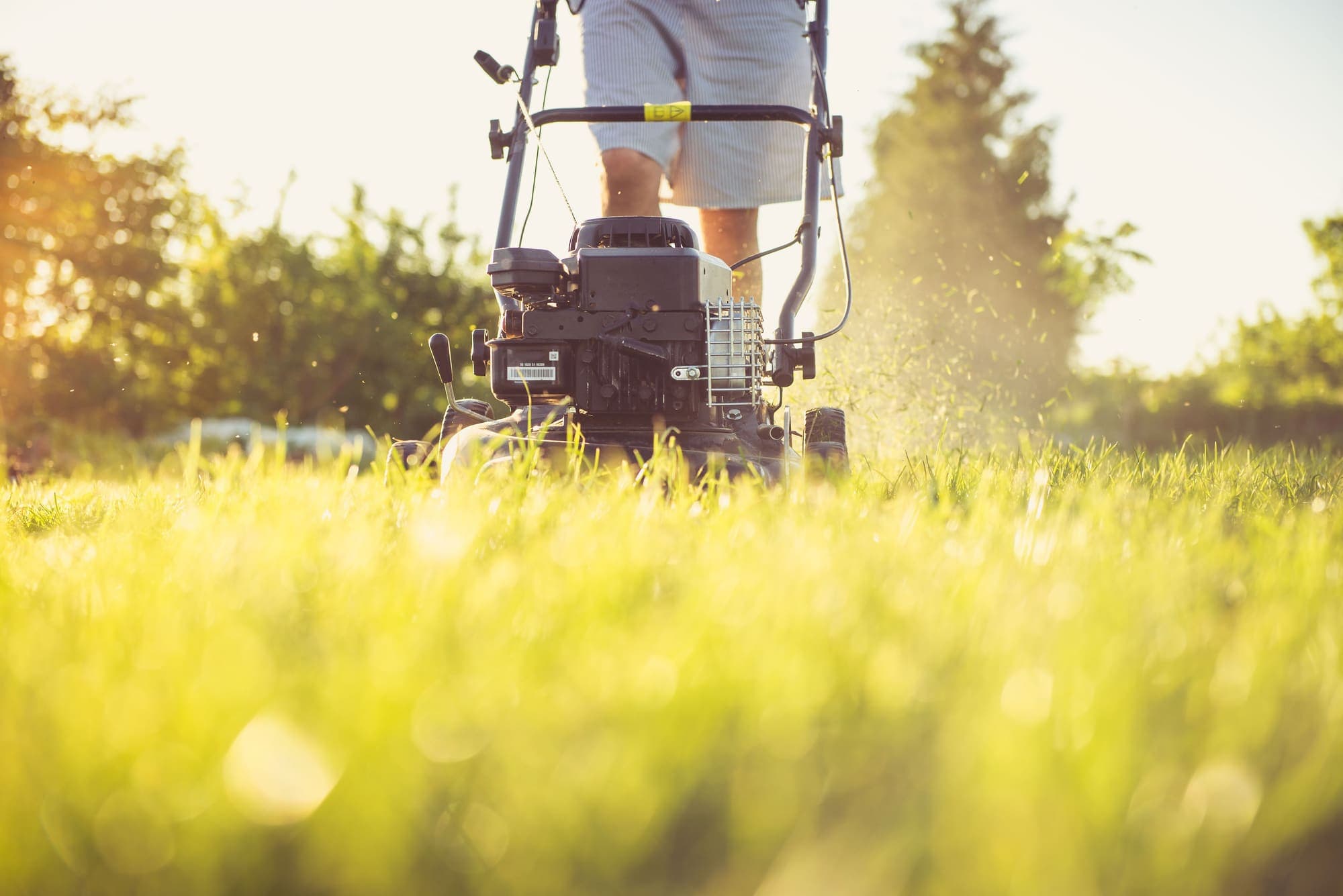 Mower cutting a strip through green grass