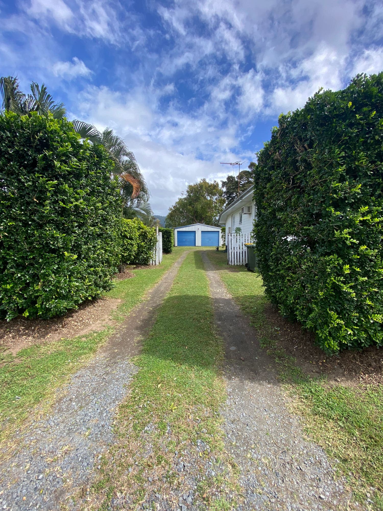 Trimmed hedges lining a driveway with mown verges at a Cairns property