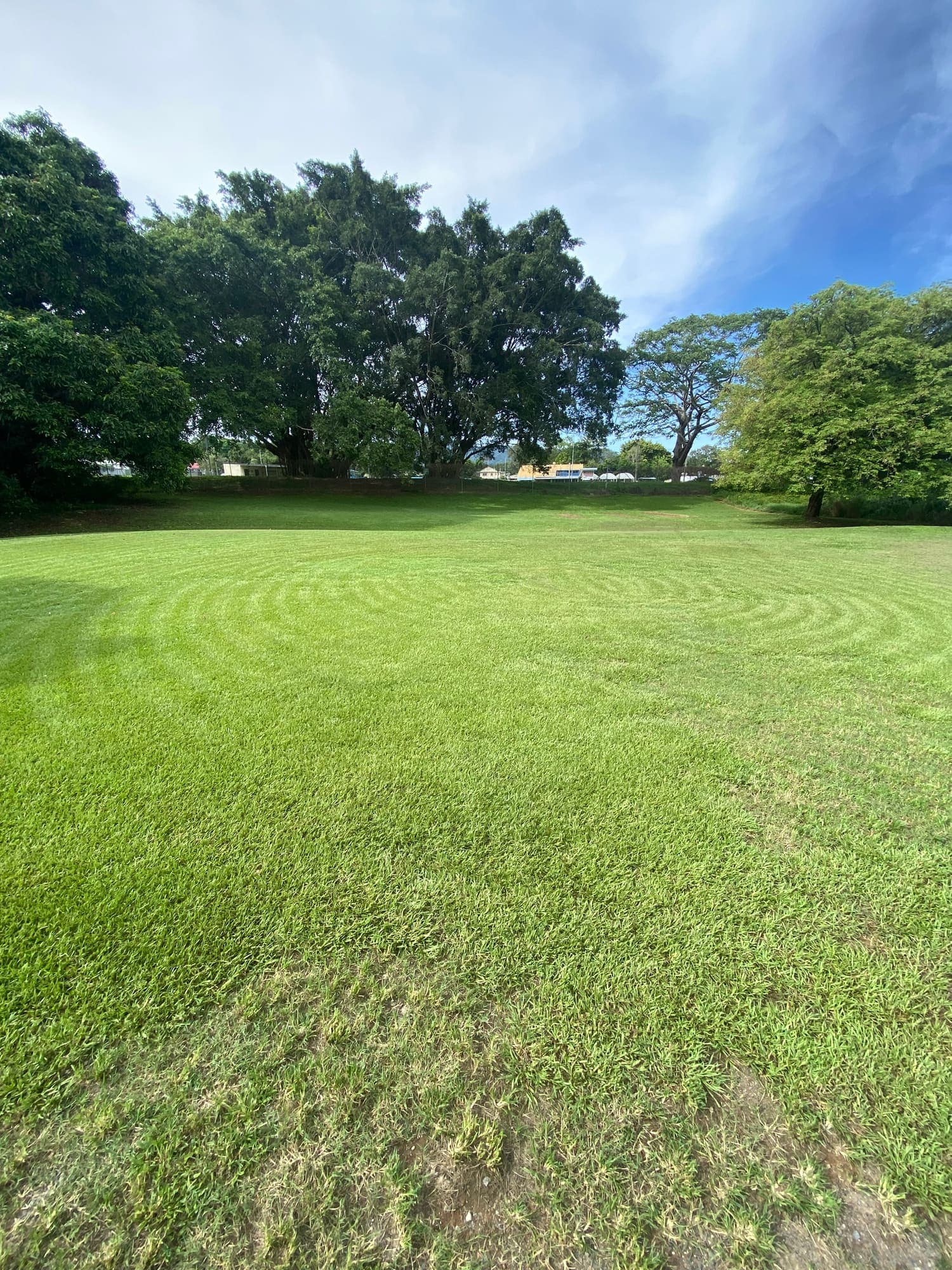 Large open lawn cut in even stripes at a Cairns property
