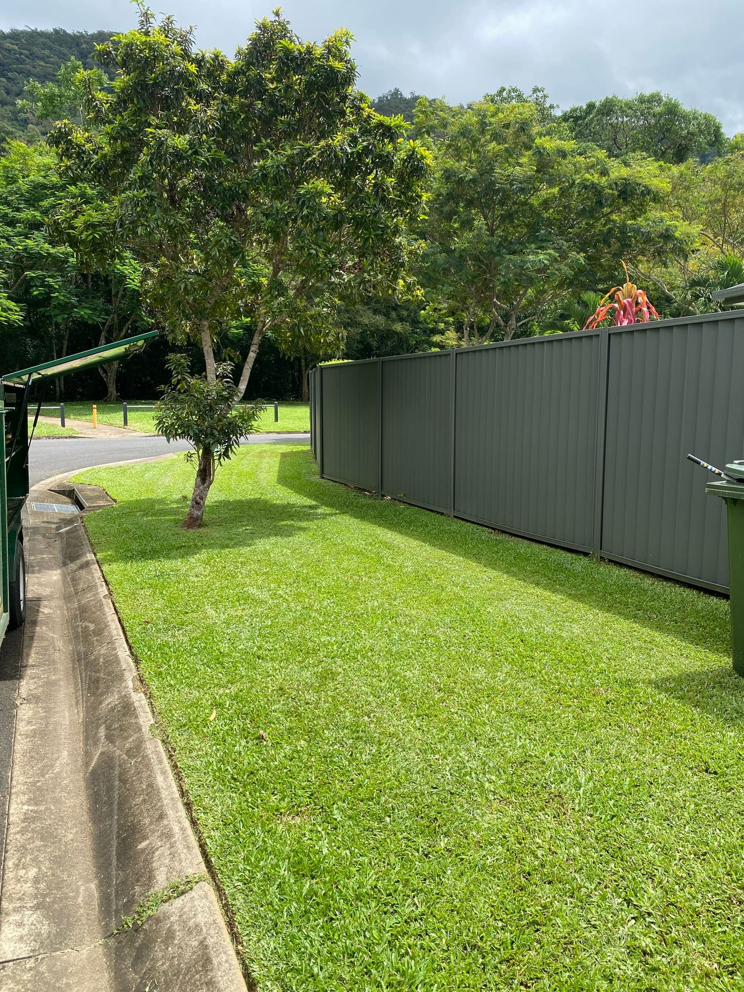 Evenly cut lawn running to the verge at a Cairns home, with the ranges behind