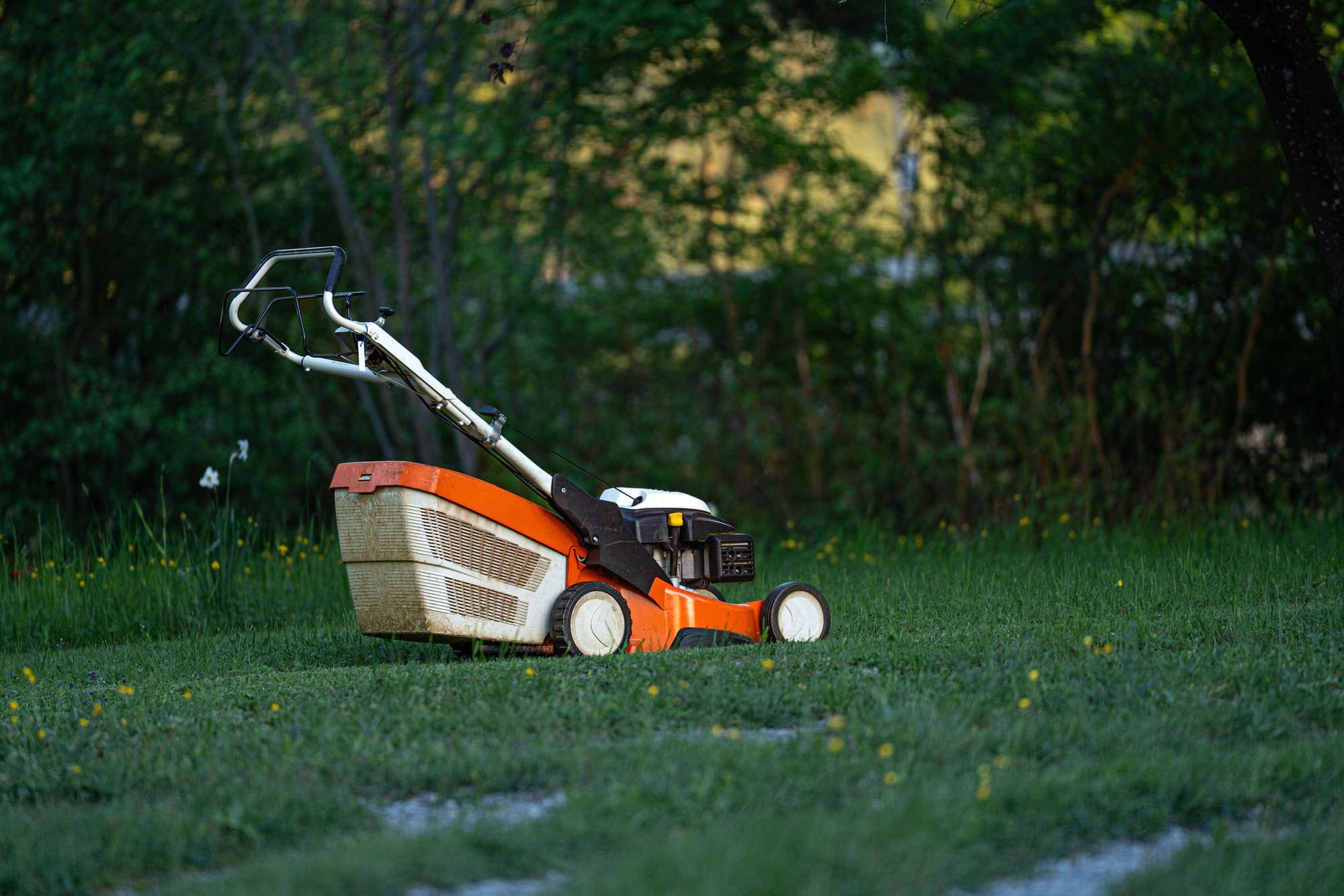 Mower standing ready on a cut back lawn