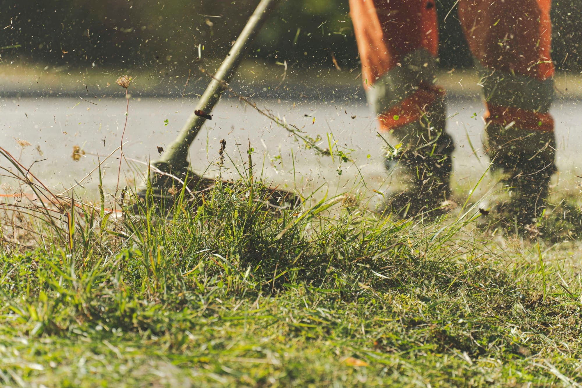 Lawn being mown with a push mower