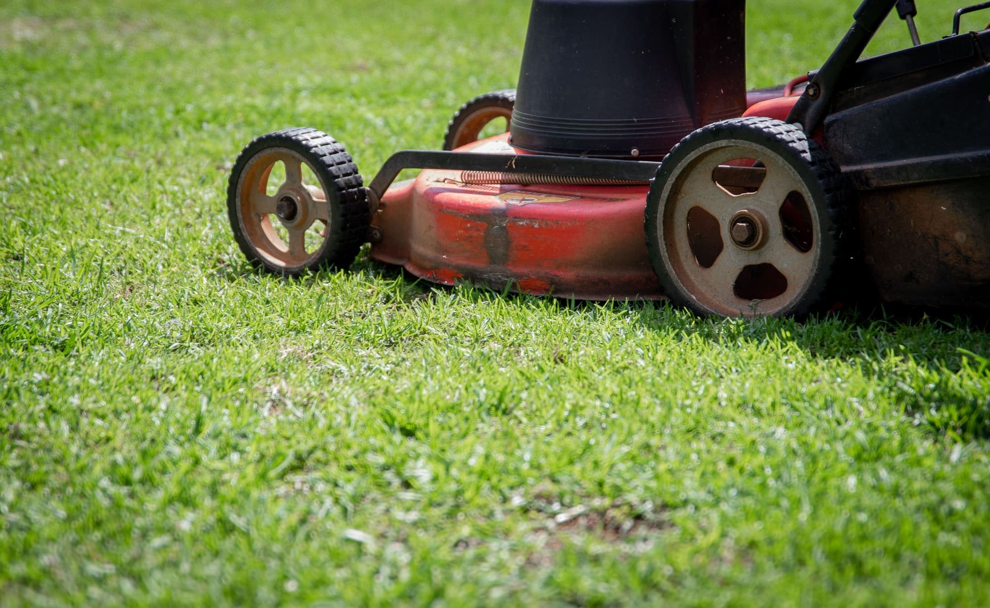 Push mower on a freshly cut lawn