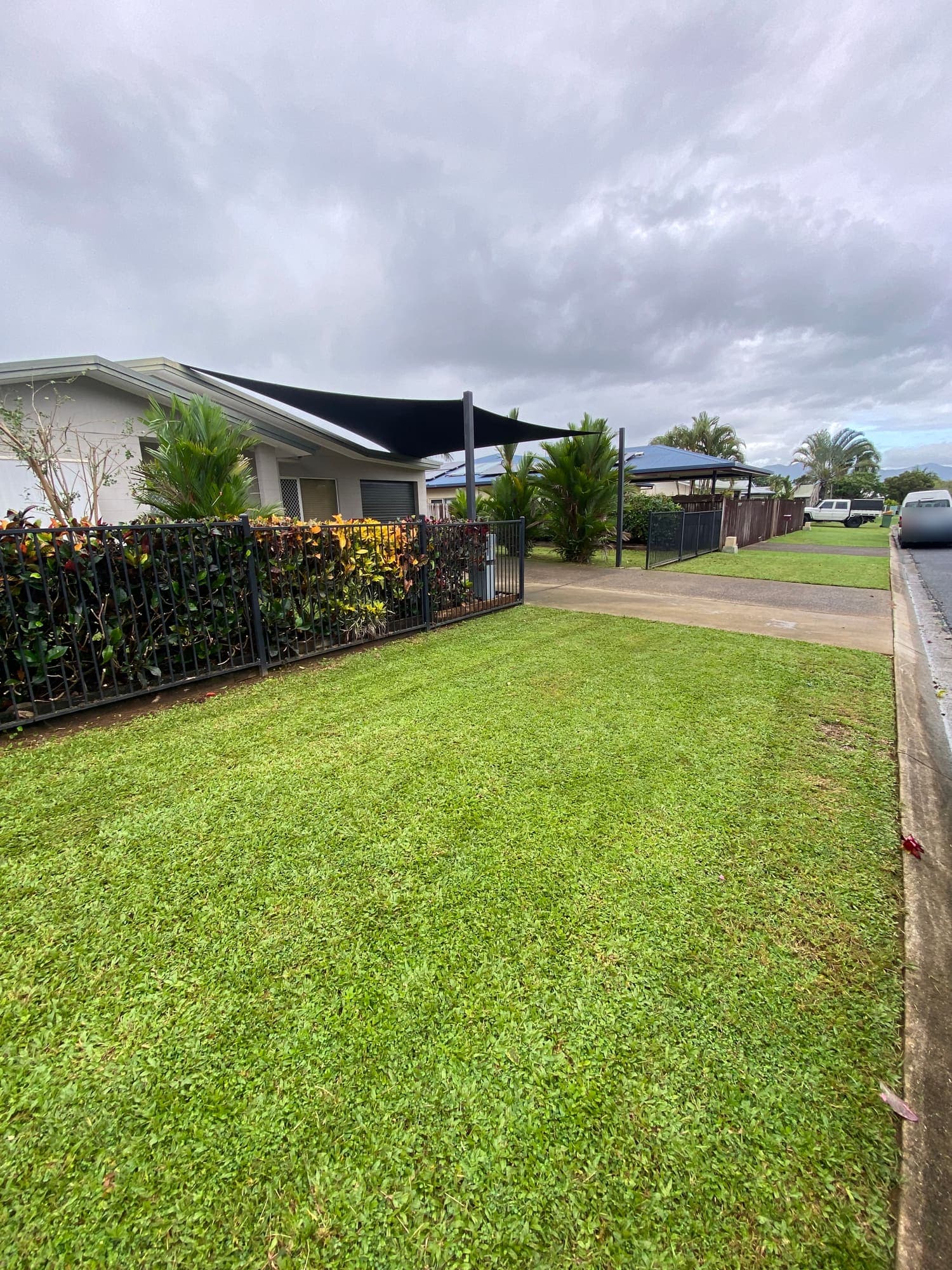 Mown lawn and croton hedge along the street frontage of a Cairns home